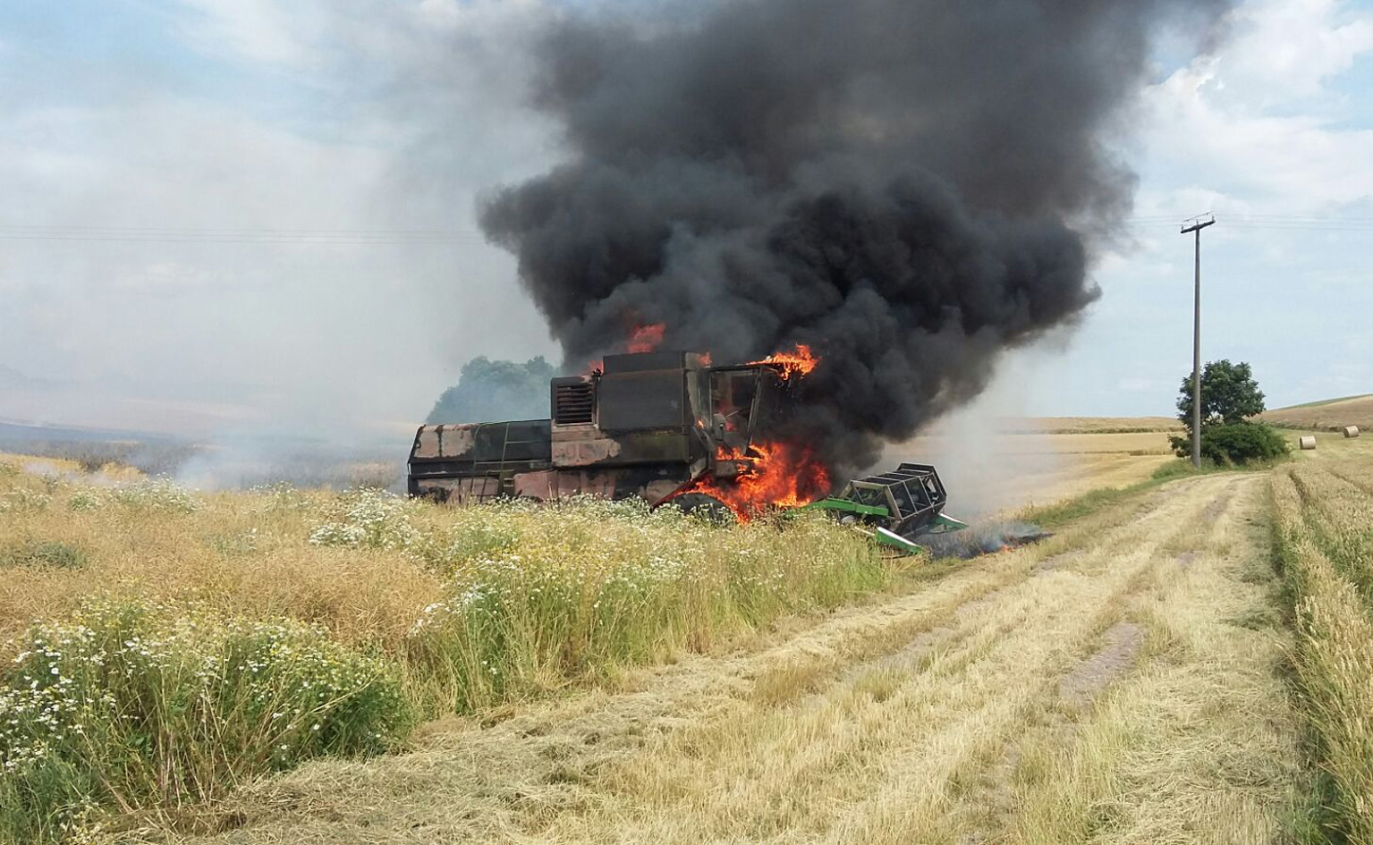 Einsatzlage: Baum auf Fahrbahn